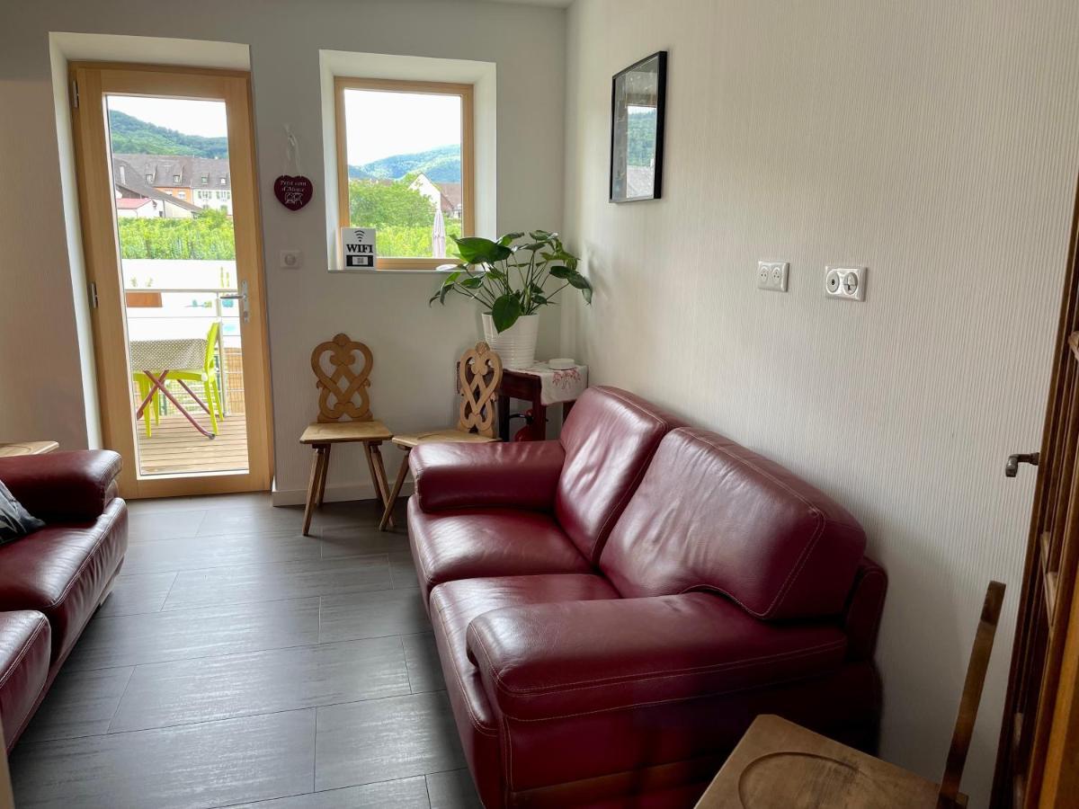 Alsacebnb - Gite 12 Personnes Dans Le Vignoble - Piscine Privee & Spa Ammerschwihr Exterior foto