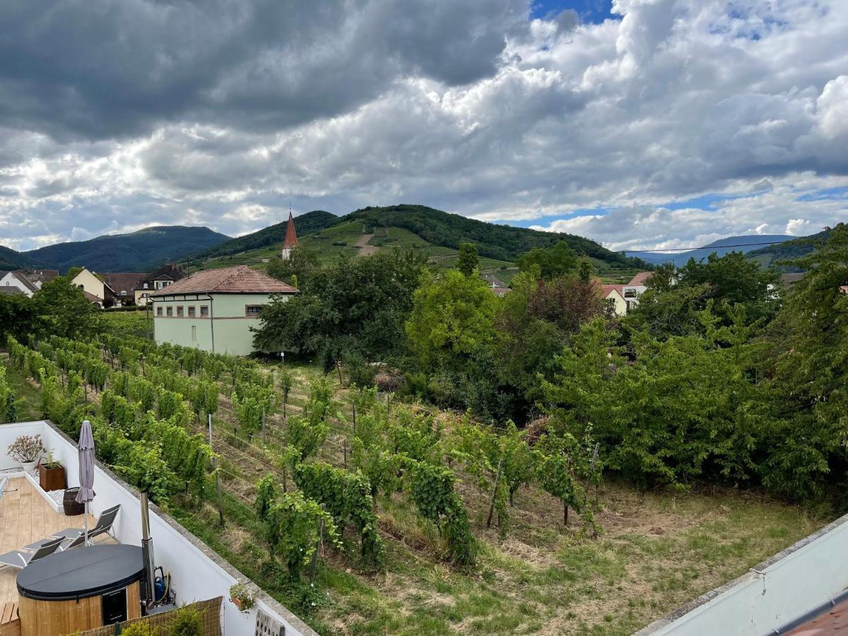 Alsacebnb - Gite 12 Personnes Dans Le Vignoble - Piscine Privee & Spa Ammerschwihr Exterior foto