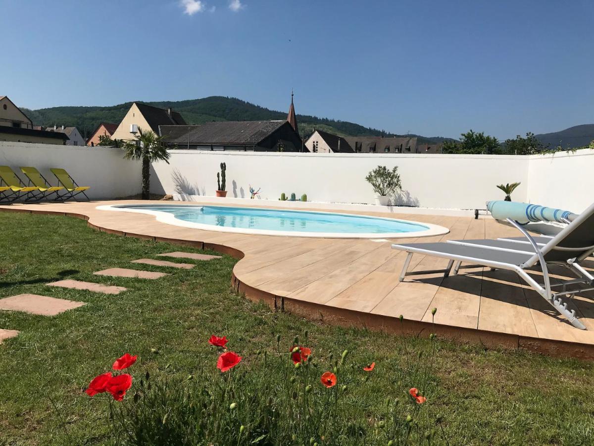 Alsacebnb - Gite 12 Personnes Dans Le Vignoble - Piscine Privee & Spa Ammerschwihr Exterior foto